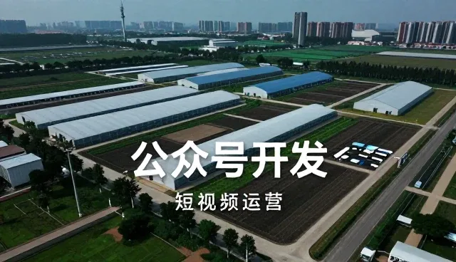 域名性能对公众号开发的实际影响分析