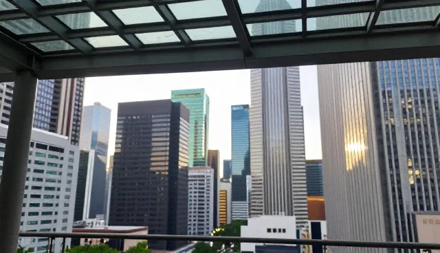 内容管理如何影响官网性能与适用场景